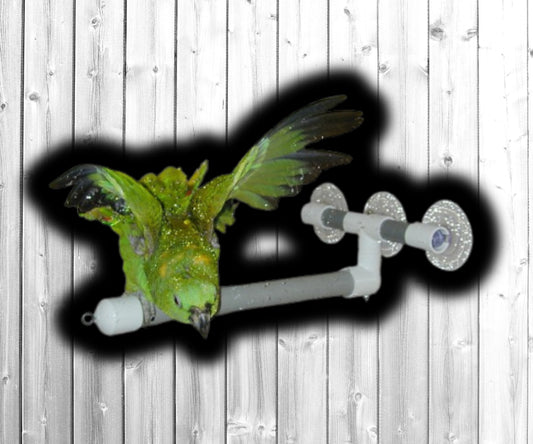 Pollys Window & Shower Perch