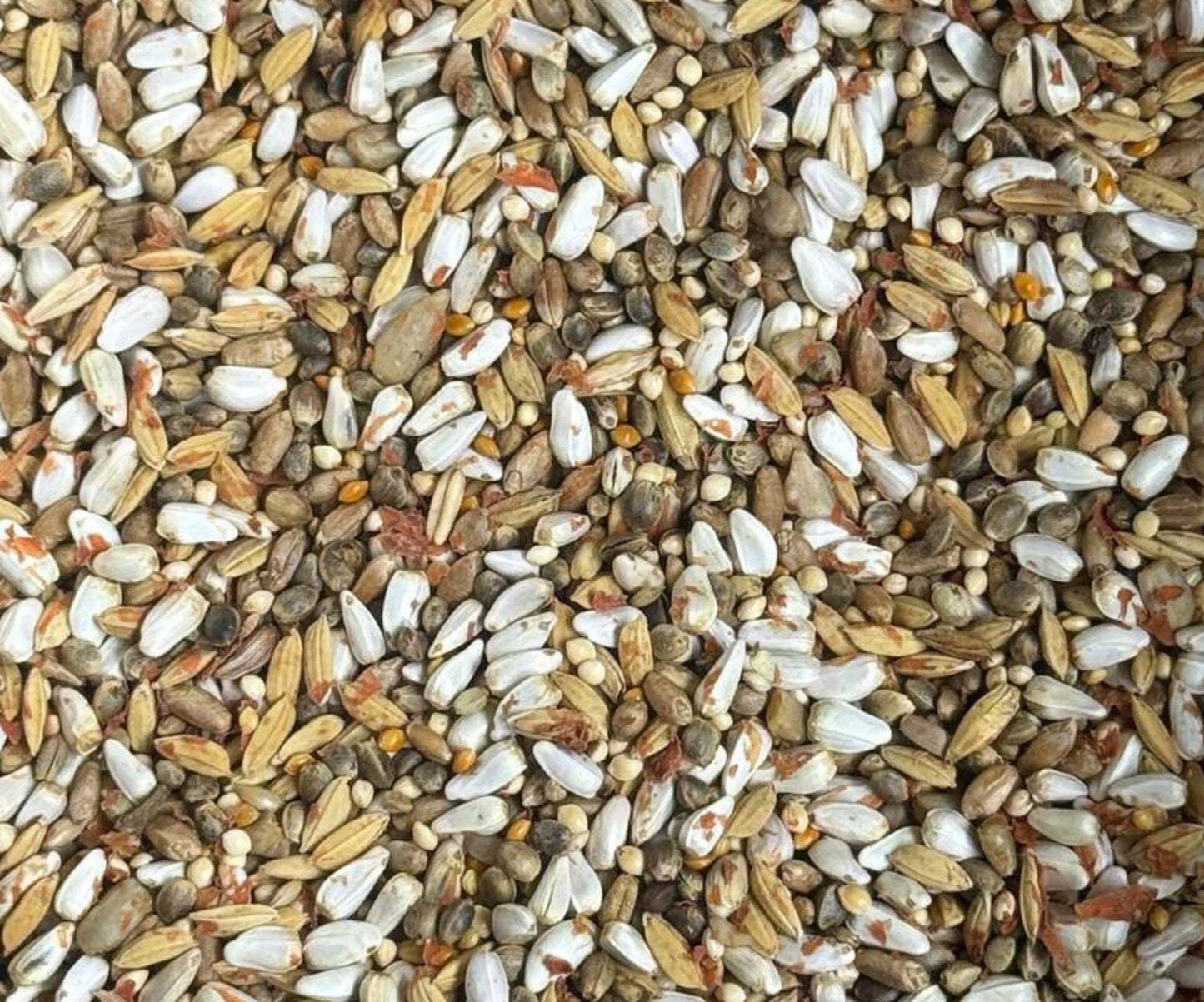 Raspberry Carrot Seed Mix - No Sunflower