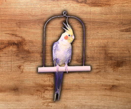 Penn-Plax Wooden Cockatiel Swing