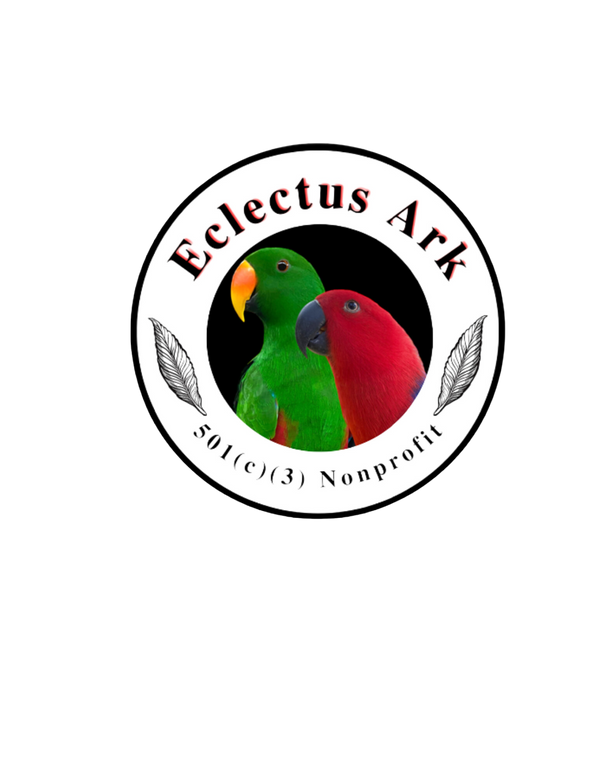 Eclectus Ark 