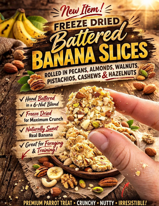 Freeze Dried Banana Slices - Rolled in Crushed Nuts