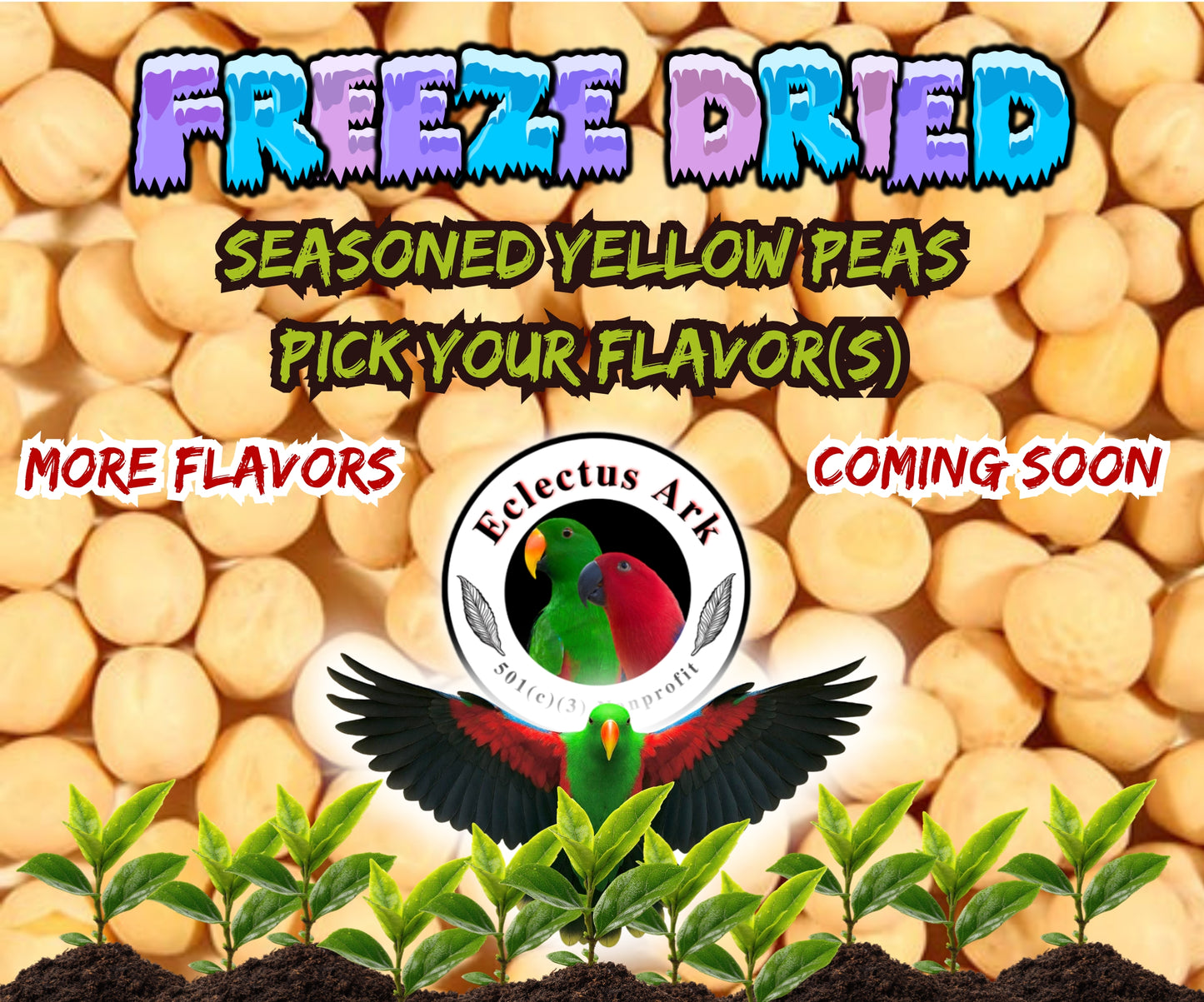 Freeze Dried Seasoned Peas - Pick Your Flavor(s)