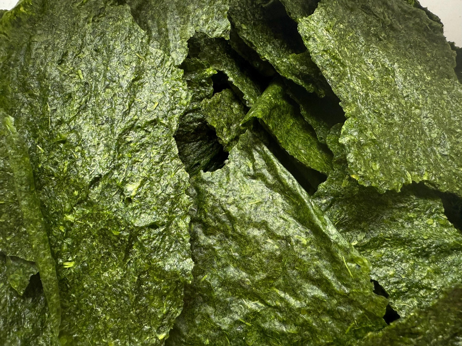 Dehydrated Rice Crispers with Siberian Kale from Eclectus Ark, a crunchy parrot treat made with rice and Siberian kale in a 3 oz resealable bag.