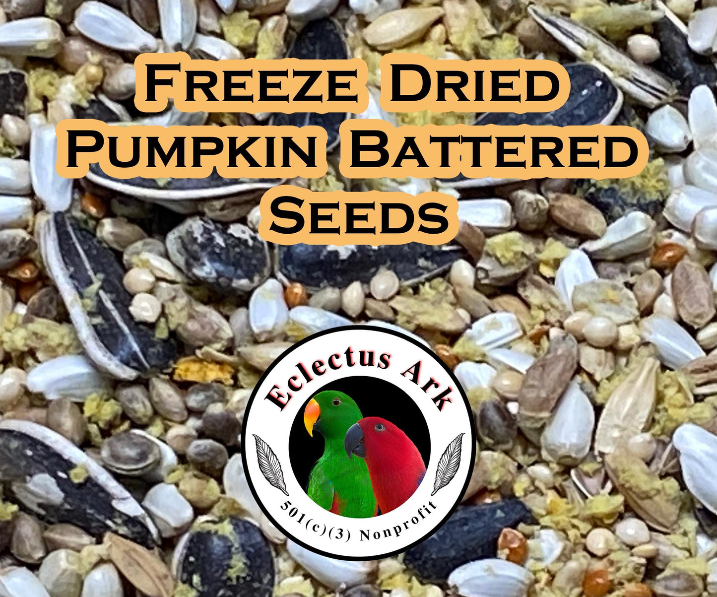 Freeze Dried Pumpkin Battered Seed Mix 1 lb Bag