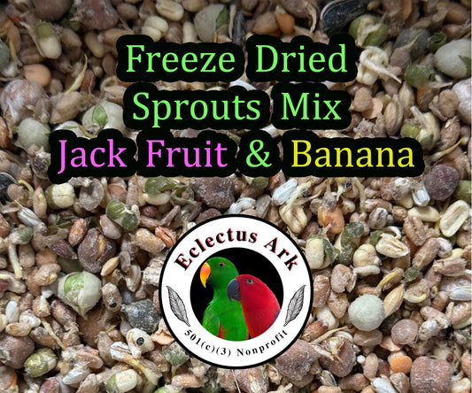 Freeze Dried Sprouts Jackfruit & Banana