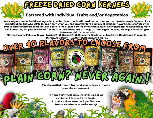 Freeze Dried Battered Sweet Corn Kernels - Multiple Flavors 2 oz