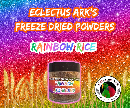 Freeze Dried Blackberry Multigrain Powder 3.5 oz container