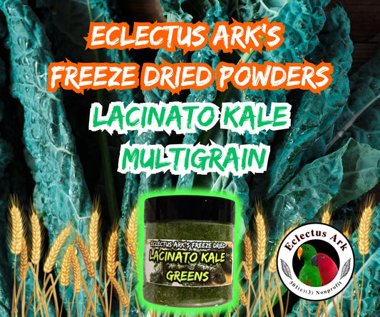 Freeze Dried Lacinato Kale Multigrain Powder 2.5 oz container