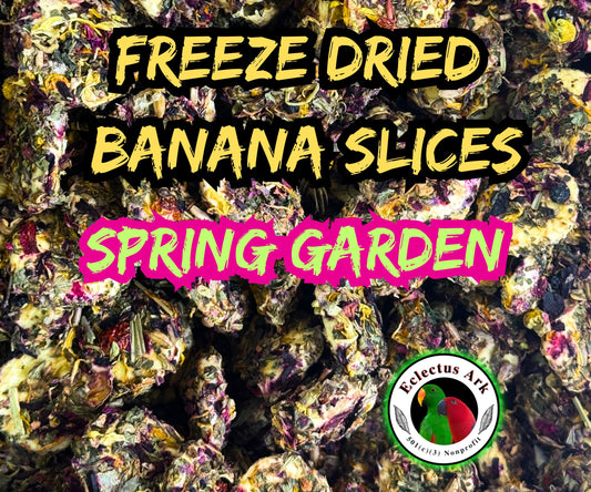 Picture of package label for Freeze Dried Banana Slices SPring Garden Flavor