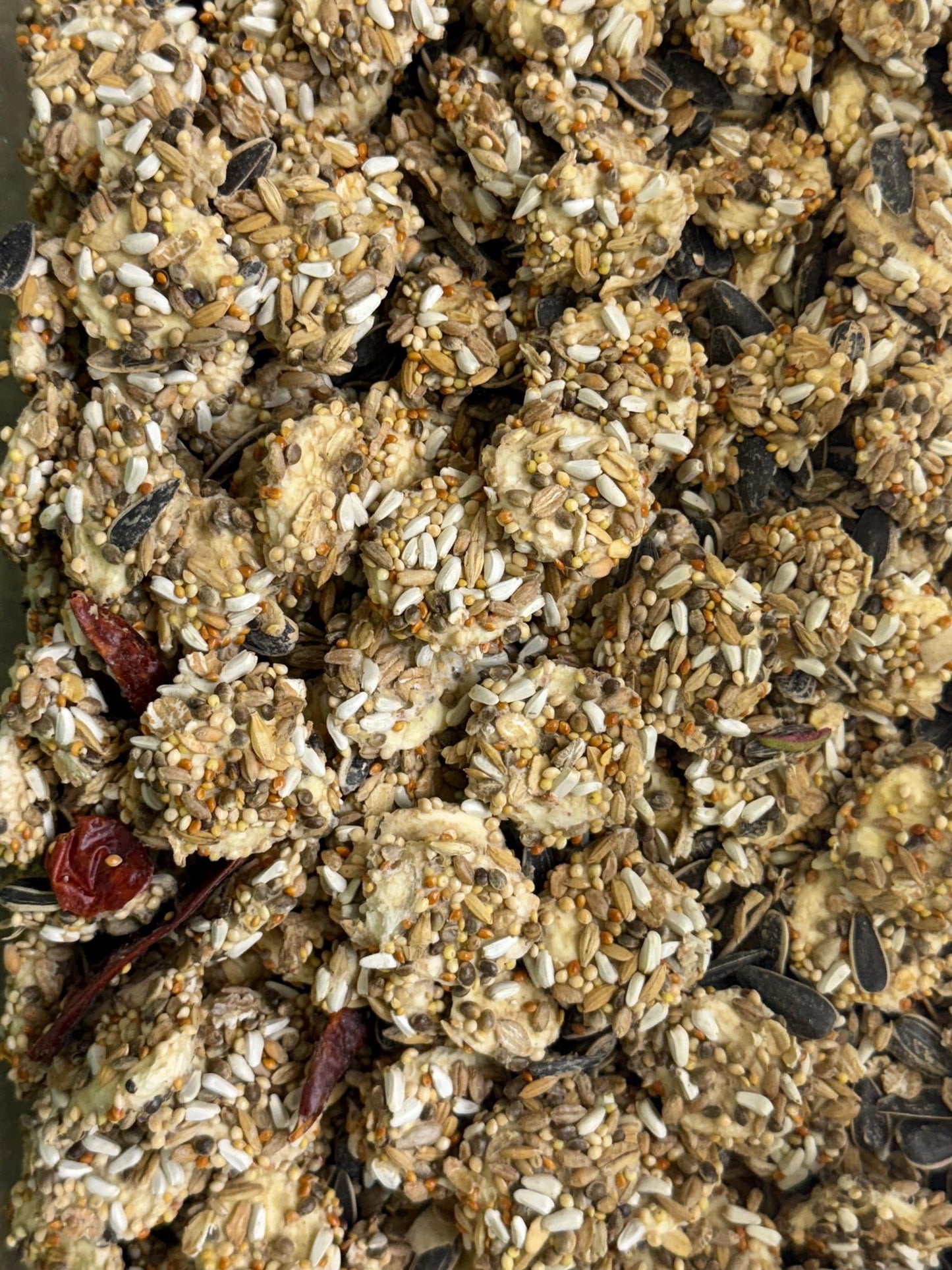 Freeze Dried Seed Coated Banana Slices