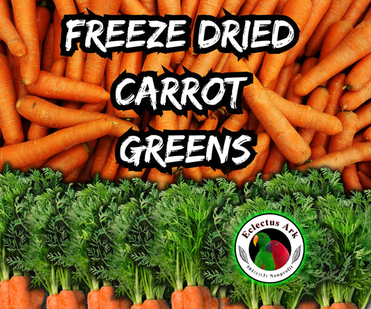 Freeze Dried Carrot Greens