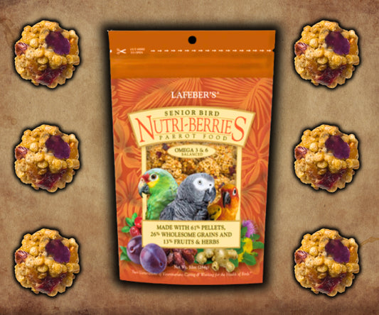 Bag of Lafeber Senior Bird Nutri‑Berries — pellet, grain and fruit‑based senior diet for parrots with joint‑support herbs and nutrients for aging birds.