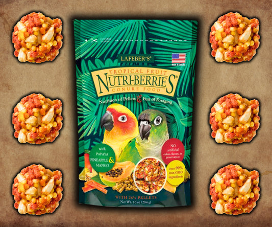 Bag of Lafeber Tropical Fruit Nutri‑Berries parrot food featuring whole seeds, grains, and dried pineapple, papaya, and mango — ideal for foraging, nutrition, and enrichment.