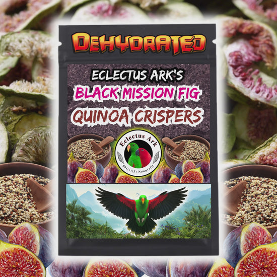 Close-up of dehydrated quinoa crispers with Black Mission fig prepared by Eclectus Ark for parrots