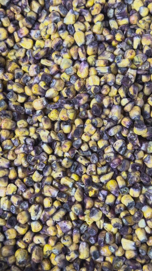 Freeze Dried Blueberry Battered Sweet Corn