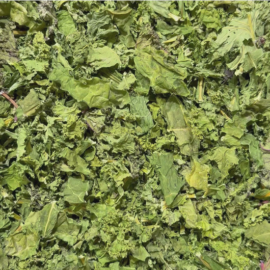 Dehydrated Trio Kale Greens Parrot Treat Product Video